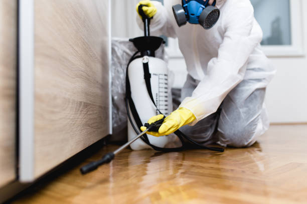 Best Wasp Removal Services  in Warrensburg, IL