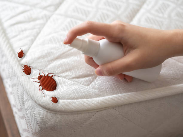 Best Pest Control Treatment  in Warrensburg, IL