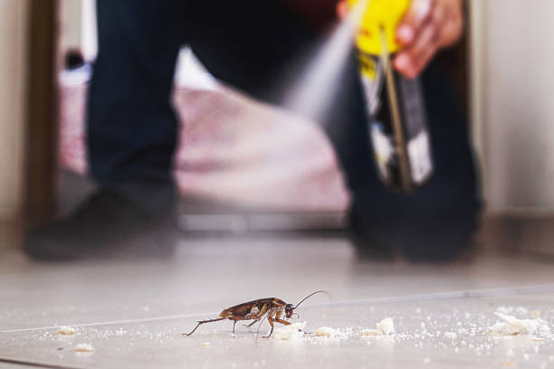Best Pest Control for Restaurants  in Warrensburg, IL